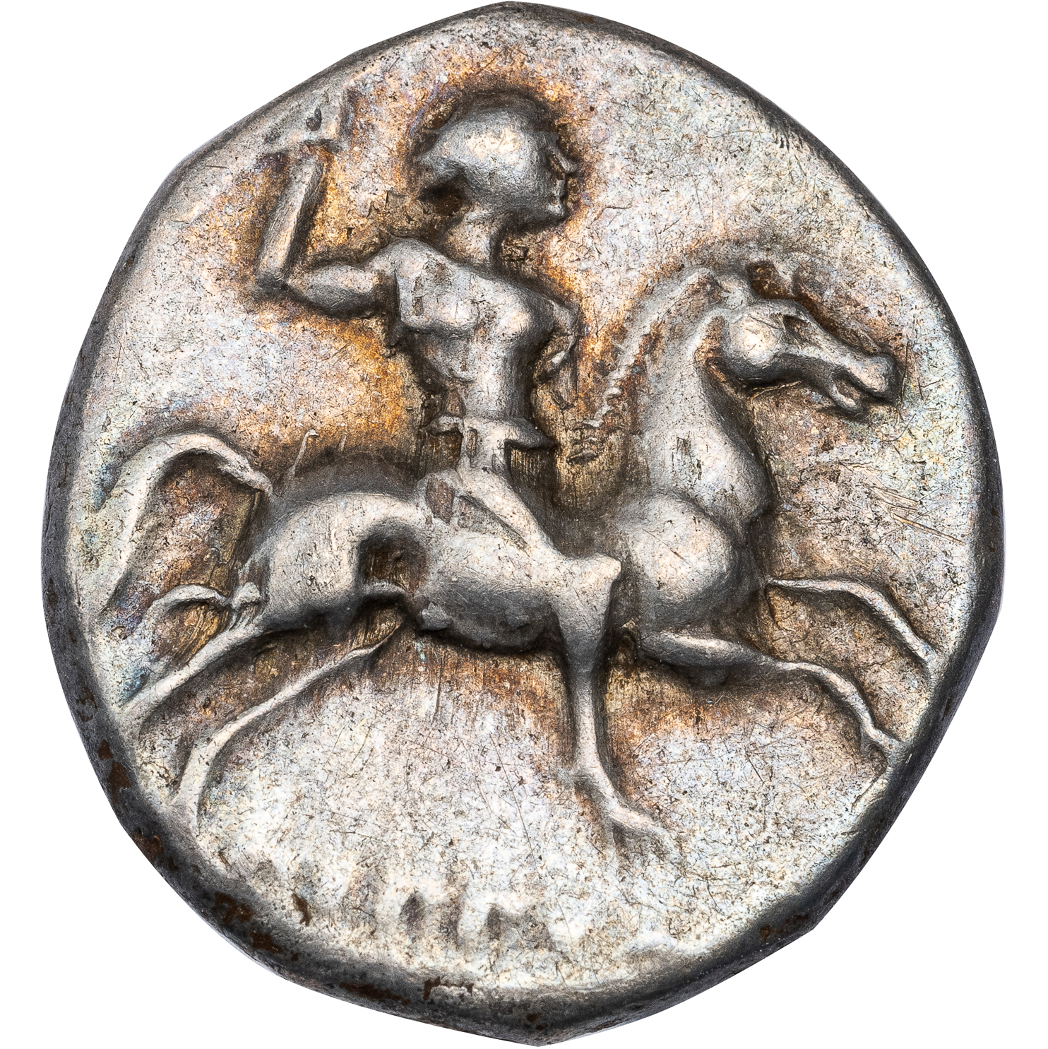 TARENTUM SILVER DIDRACHM - ISSUE OF MAGISTRATE HIPPODA EX SALTON COLLECTION - CHOICE VF NGC GRADED GREEK COIN (Inv. 18494) - Image 2