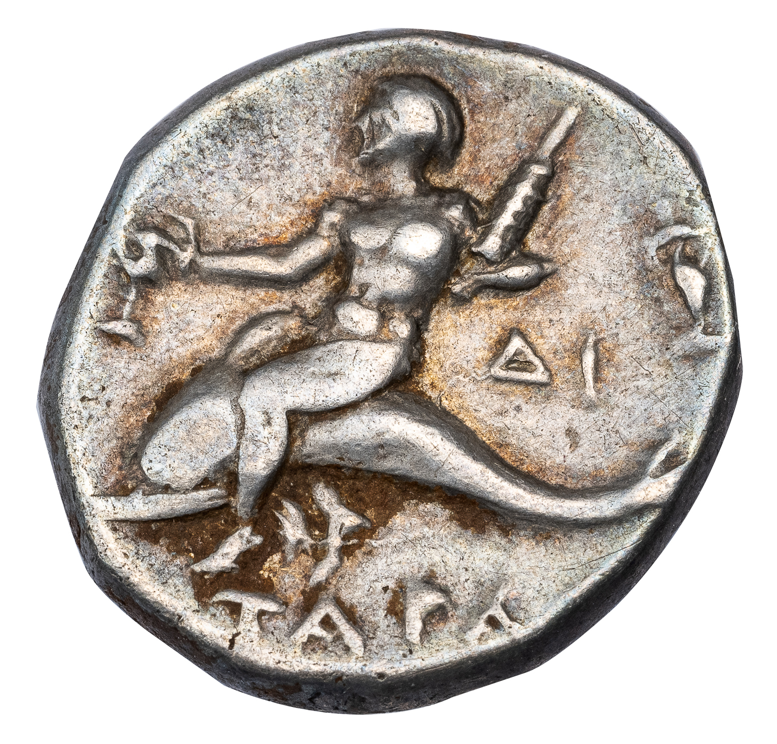TARENTUM SILVER DIDRACHM - ISSUE OF MAGISTRATE HIPPODA EX SALTON COLLECTION - CHOICE VF NGC GRADED GREEK COIN (Inv. 18494) - Image 3