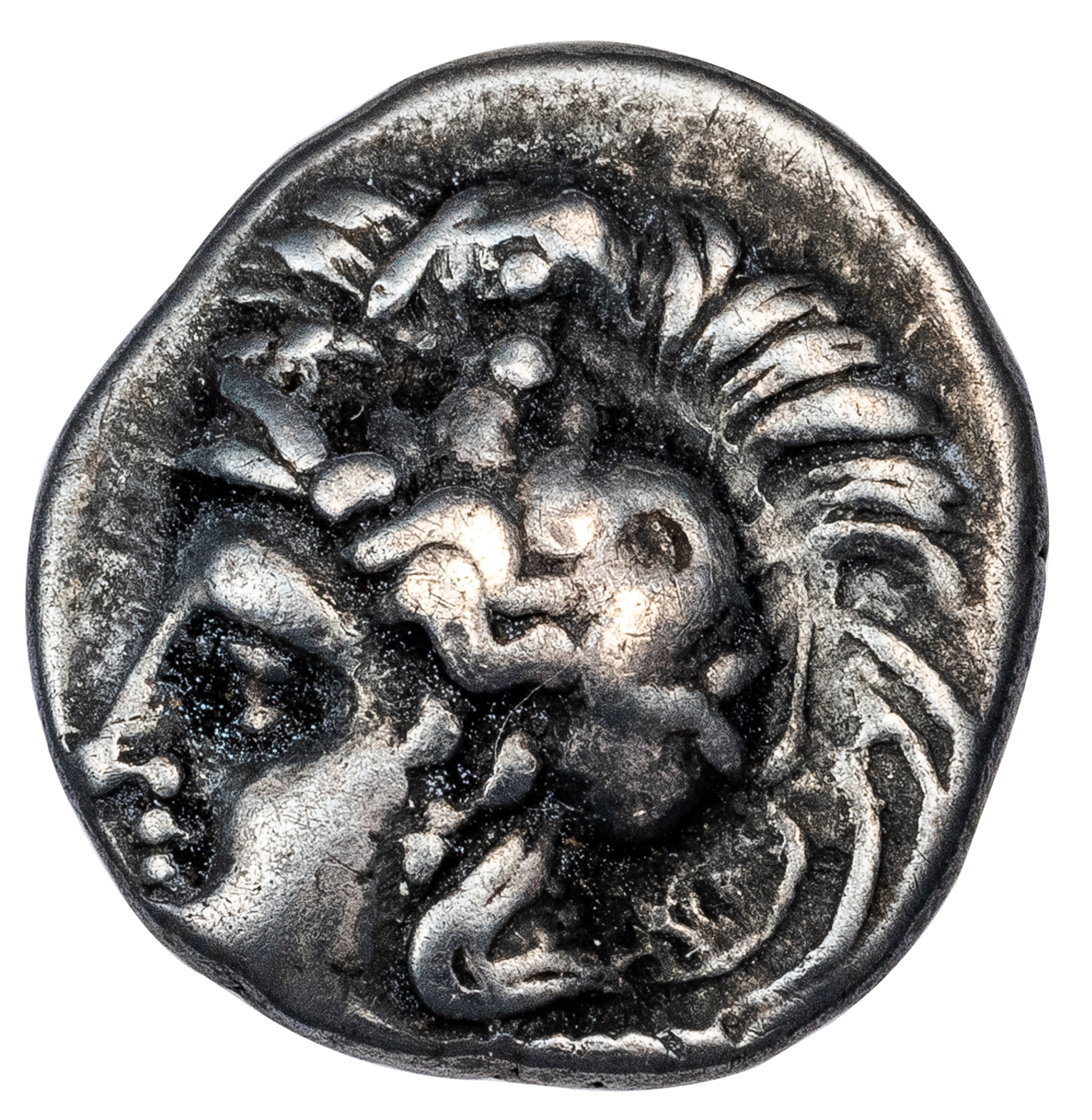 TARENTUM SILVER DIOBOL - SPECIMEN EX VLASTO COLLECTION PLATED IN HIS BOOK - VF NGC GRADED GREEK CALABRIA COIN (Inv. 19753) - Image 2