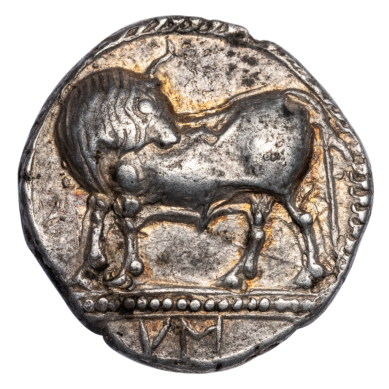 SYBARIS SILVER THIRD NOMOS - EX TKALEC & RAUCH 1986 SALE - XF NGC GRADED GREEK LUCANIA COIN (Inv. 19909) - Image 2